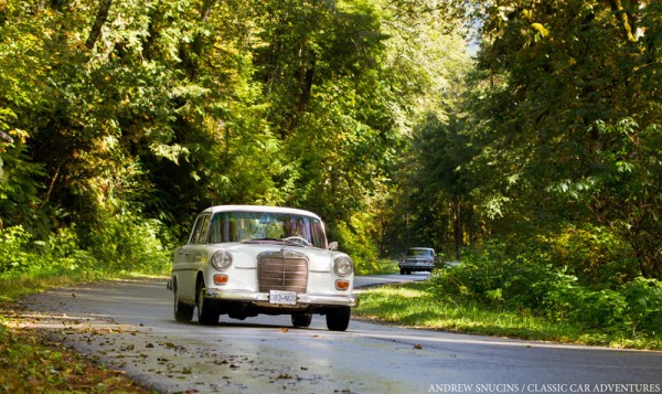 Press on through the greenery.