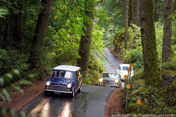 Winding through old growth Vancouver Island rainforests.